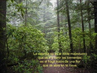 La valentía no es el roble majestuoso que ve ir y venir las tormentas; es el frágil botón de una flor que se abre en la nieve. 