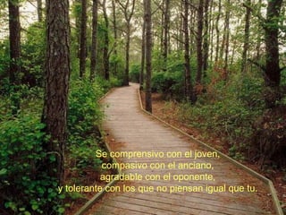 Se comprensivo con el joven, compasivo con el anciano, agradable con el oponente, y tolerante con los que no piensan igual que tu. 