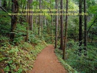 Si piensas que todos están en tu contra, recuerda que los aviones se elevan en contra del viento. 