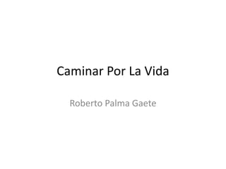 Caminar Por La Vida
Roberto Palma Gaete
 