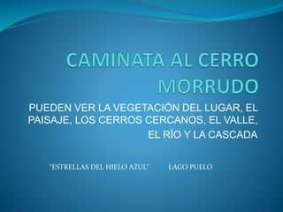 PUEDEN VER LA VEGETACIÓN DEL LUGAR, EL
PAISAJE, LOS CERROS CERCANOS, EL VALLE,
EL RÍO Y LA CASCADA
“ESTRELLAS DEL HIELO AZUL” LAGO PUELO
 