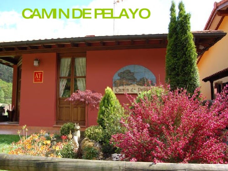 Camin De Pelayo Empresas