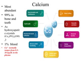 Comprehensive Overview of Agents Influencing Calcium and Bone Mineral ...