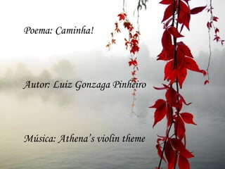 Poema: Caminha!



Autor: Luiz Gonzaga Pinheiro



Música: Athena’s violin theme
 