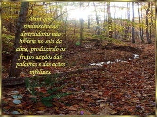 Para que reminiscências destruidoras não brotem no solo da alma, produzindo os frutos azedos das palavras e das ações infelizes. 