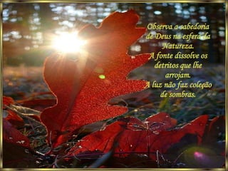 Observa a sabedoria de Deus na esfera da Natureza. A fonte dissolve os detritos que lhe arrojam. A luz não faz coleção de sombras. 