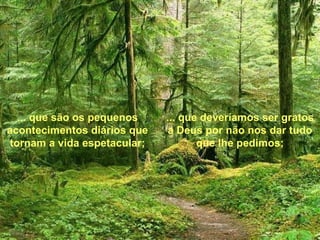 ... que deveríamos ser gratos a Deus por não nos dar tudo que lhe pedimos; ... que são os pequenos acontecimentos diários que tornam a vida espetacular; 