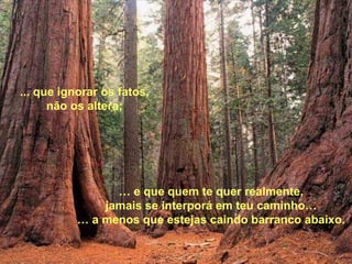 …  e que quem te quer realmente, jamais se interporá em teu caminho… …  a menos que estejas caindo barranco abaixo. ... que ignorar os fatos, não os altera; 