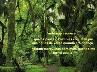 tento não esquecer... que os passeios simples com meu pai, nas noites de verão quando era criança,  fizeram maravilhas para mim, quando me tornei adulto; 