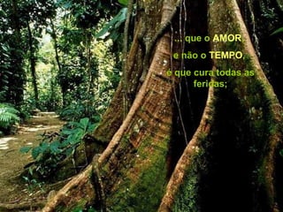 ... que o AMOR,
e não o TEMPO,
é que cura todas as
feridas;
 