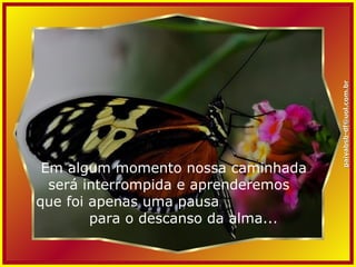 Em algum momento nossa caminhada será interrompida e aprenderemos  que foi apenas uma pausa  para o descanso da alma... [email_address] 