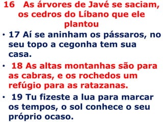 16   As árvores de Javé se saciam, os cedros do Líbano que ele plantou17 Aí se aninham os pássaros, no seu topo a cegonha tem sua casa.  18 As altas montanhas são para as cabras, e os rochedos um refúgio para as ratazanas.  19 Tu fizeste a lua para marcar os tempos, o sol conhece o seu próprio ocaso. 