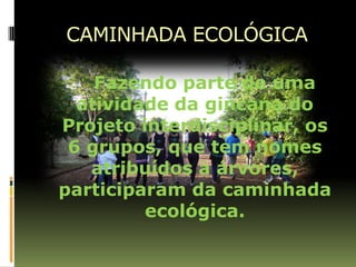 CAMINHADA ECOLÓGICA

    Fazendo parte de uma
  atividade da gincana do
Projeto interdisciplinar, os
 6 grupos, que tem nomes
   atribuídos à árvores,
participaram da caminhada
         ecológica.
 