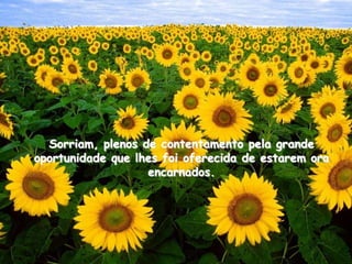 Sorriam, plenos de contentamento pela grande
oportunidade que lhes foi oferecida de estarem ora
                   encarnados.
 