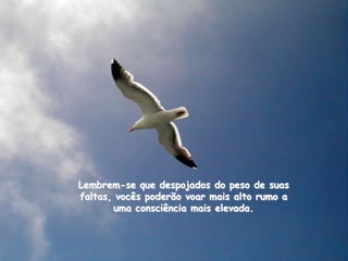 Lembrem-se que despojados do peso de suas
faltas, vocês poderão voar mais alto rumo a
       uma consciência mais elevada.
 