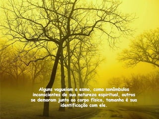 Alguns vagueiam a esmo, como sonâmbulos
 inconscientes de sua natureza espiritual, outros
se demoram junto ao corpo físico, tamanha é sua
              identificação com ele.
 