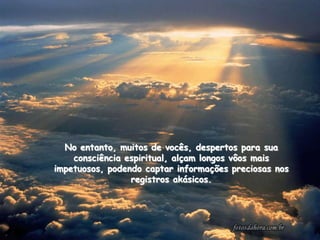 No entanto, muitos de vocês, despertos para sua
    consciência espiritual, alçam longos vôos mais
impetuosos, podendo captar informações preciosas nos
                 registros akásicos.
 