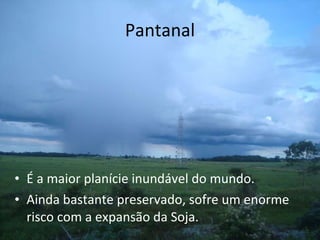 Pantanal É a maior planície inundável do mundo.  Ainda bastante preservado, sofre um enorme risco com a expansão da Soja.  