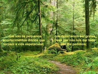 ...que deveríamos ser gratos a Deus por não nos dar tudo que lhe pedimos; ...que são os pequenos acontecimentos diários que tornam a vida espetacular; 