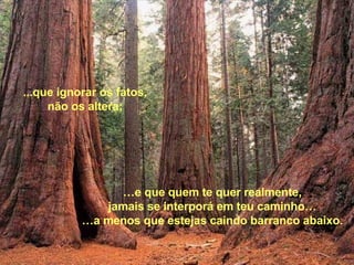 … e que quem te quer realmente, jamais se interporá em teu caminho… … a menos que estejas caindo barranco abaixo. ...que ignorar os fatos, não os altera; 