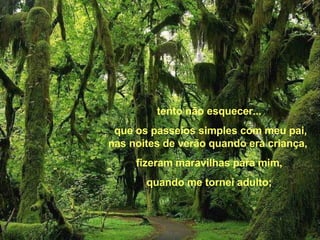 tento não esquecer... que os passeios simples com meu pai, nas noites de verão quando era criança,  fizeram maravilhas para mim, quando me tornei adulto; 