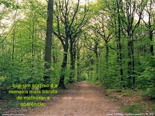 ...que um sorriso é a maneira mais barata de melhorar a aparência; 