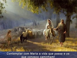 Contemplar com Maria a vida que passa e os
         que conosco caminham!
 