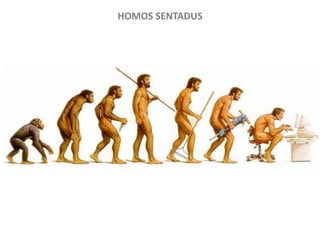 HOMOS SENTADUS
 