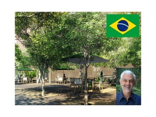 Praça na Avenida Paulista, projeto de Benedito Abbud, criador do conceito de calçada viva.
 