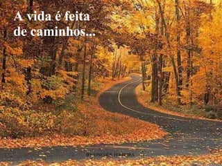 A   vida é feita de caminhos... 