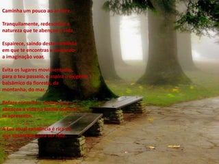 Sê gentil e bondoso, sem te tornares servil.
A humildade é uma virtude nobre que não convive com as situações
Vis, íntegra, enriquece o homem de valores espirituais, que o tornam
forte, na sua aparente fraqueza e poderoso na sua pobreza.
Sócrates, Cristo e Gandhi são os exemplos máximos da humildade
e os expoentes mais belos da evolução.
Abatidos por homicidas loucos, preferiram morrer a ceder, permanecendo
imortais na sua grande vitória.
Caminha um pouco ao ar livre.
Tranquilamente, redescobre a
natureza que te abençoa a vida.
Espairece, saindo deste turbilhão
em que te encontras e deixando
a imaginação voar.
Evita os lugares movimentados,
para o teu passeio, e aspira o oxigênio
balsâmico da floresta, da
montanha, do mar...
Refaze conceitos, acalma-te e
abençoa a vida na forma como se
te apresente.
A tua atual existência é rica do
que necessitas para ser feliz.
 