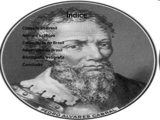 Índice
Chegada ao Brasil
Animais exóticos
Colonização no Brasil
Ameríndios do Brasil
Bibliografia/webgrafia
Conclusão
 