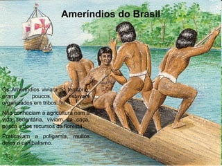 Ameríndios do Brasil
Os Ameríndios viviam no território,
eram poucos, estavam
organizados em tribos.
Não conheciam a agricultura nem a
vida sedentária, viviam da caça,
pesca e dos recursos da floresta.
Praticavam a poligamia, muitos
deles o canibalismo.
 