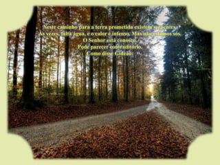 Neste caminho para a terra prometida existem serpentes. Às vezes, falta água, e o calor é intenso. Mas não estamos sós. O Senhor está conosco. Pode parecer contraditório. Como disse Gideão: