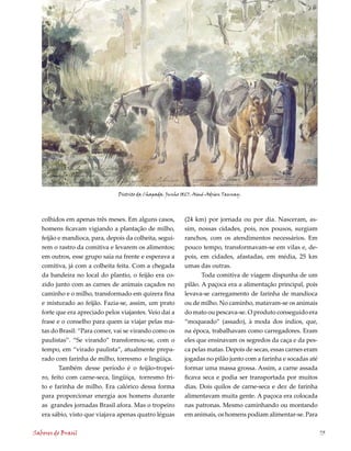 Distrito da Chapada. Junho 1827. Aimé-Adrien Taunay.




   colhidos em apenas três meses. Em alguns casos,          (2 km) por jornada ou por dia. Nasceram, as-
   homens ficavam vigiando a plantação de milho,            sim, nossas cidades, pois, nos pousos, surgiam
   feijão e mandioca, para, depois da colheita, segui-      ranchos, com os atendimentos necessários. Em
   rem o rastro da comitiva e levarem os alimentos;         pouco tempo, transformavam-se em vilas e, de-
   em outros, esse grupo saía na frente e esperava a        pois, em cidades, afastadas, em média, 25 km
   comitiva, já com a colheita feita. Com a chegada         umas das outras.
   da bandeira no local do plantio, o feijão era co-               Toda comitiva de viagem dispunha de um
   zido junto com as carnes de animais caçados no           pilão. A paçoca era a alimentação principal, pois
   caminho e o milho, transformado em quirera fina          levava-se carregamento de farinha de mandioca
   e misturado ao feijão. Fazia-se, assim, um prato         ou de milho. No caminho, matavam-se os animais
   forte que era apreciado pelos viajantes. Veio daí a      do mato ou pescava-se. O produto conseguido era
   frase e o conselho para quem ia viajar pelas ma-         “moqueado” (assado), à moda dos índios, que,
   tas do Brasil: “Para comer, vai se virando como os       na época, trabalhavam como carregadores. Eram
   paulistas”. “Se virando” transformou-se, com o           eles que ensinavam os segredos da caça e da pes-
   tempo, em “virado paulista”, atualmente prepa-           ca pelas matas. Depois de secas, essas carnes eram
   rado com farinha de milho, torresmo e lingüiça.          jogadas no pilão junto com a farinha e socadas até
          Também desse período é o feijão-tropei-           formar uma massa grossa. Assim, a carne assada
   ro, feito com carne-seca, lingüiça, torresmo fri-        ficava seca e podia ser transportada por muitos
   to e farinha de milho. Era calórico dessa forma          dias. Dois quilos de carne-seca e dez de farinha
   para proporcionar energia aos homens durante             alimentavam muita gente. A paçoca era colocada
   as grandes jornadas Brasil afora. Mas o tropeiro         nas patronas. Mesmo caminhando ou montando
   era sábio, visto que viajava apenas quatro léguas        em animais, os homens podiam alimentar-se. Para

Sabores do Brasil                                                                                                73
 