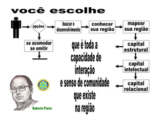 opções buscar o desenvolvimento se acomodar se omitir conhecer  sua região mapear sua região capital estrutural capital intelectual capital relacional você escolhe que é toda a capacidade de interação e senso de comunidade que existe  na região 