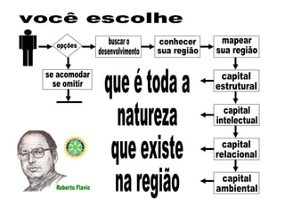 opções buscar o desenvolvimento se acomodar se omitir conhecer  sua região mapear sua região capital estrutural capital intelectual capital relacional capital ambiental você escolhe que é toda a natureza que existe  na região 