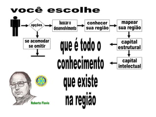 opções buscar o desenvolvimento se acomodar se omitir conhecer  sua região mapear sua região capital estrutural capital intelectual você escolhe que é todo o conhecimento que existe  na região 