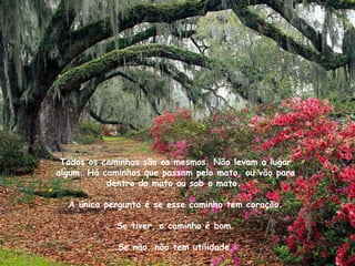 Todos os caminhos são os mesmos. Não levam a lugar algum. Há caminhos que passam pelo mato, ou vão para dentro do mato ou sob o mato. A única pergunta é se esse caminho tem coração. Se tiver, o caminho é bom. Se não, não tem utilidade.