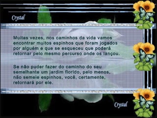 Muitas vezes, nos caminhos da vida vamos encontrar muitos espinhos que foram jogados por alguém e que se esqueceu que poderá retornar pelo mesmo percurso onde os lançou. Se não puder fazer do caminho do seu semelhante um jardim florido, pelo menos, não semeie espinhos, você, certamente, retornará por ele. 