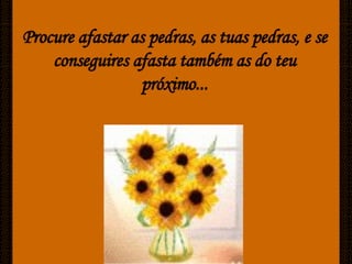 Caminhos De Luz[Ciliana]