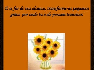 Caminhos De Luz[Ciliana]