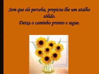 Caminhos De Luz[Ciliana]