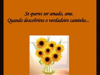 Caminhos De Luz[Ciliana]