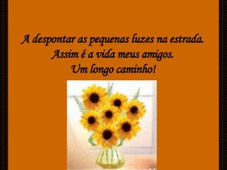 Caminhos De Luz[Ciliana]