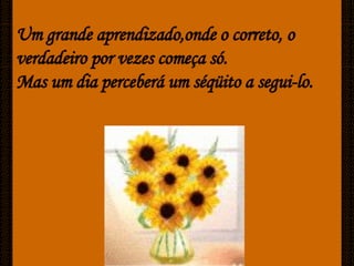 Caminhos De Luz[Ciliana]