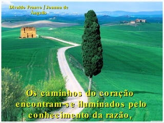 Os caminhos do coração  encontram-se iluminados pelo conhecimento da razão,  Divaldo Franco / Joanna de Ângelis 