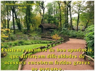 Existem caminhos de boa aparência, que disfarçam dificuldades de acesso e encobrem feridas graves no percurso. Divaldo Franco / Joanna de Ângelis 