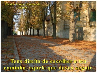 Tens direito de escolher o teu caminho, aquele que deves seguir. Divaldo Franco / Joanna de Ângelis 