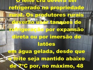 O leite cru deverá ser refrigerado na propriedade rural. Os produtores rurais deverão usar tanques de refrigeração por expansão direta ou por imersão de latões em água gelada, desde que o leite seja mantido abaixo de 7ºC por, no máximo, 48 horas . 